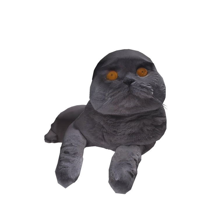 Folk Cat