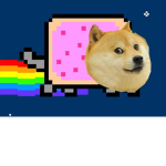 ✰ The NyanoDoge Club ✰