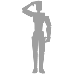 Salute2