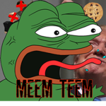 The MEEM Team