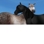The horse team :D