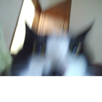 oCATo hislon