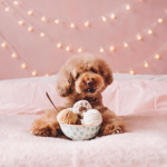 strawberry puppy! x