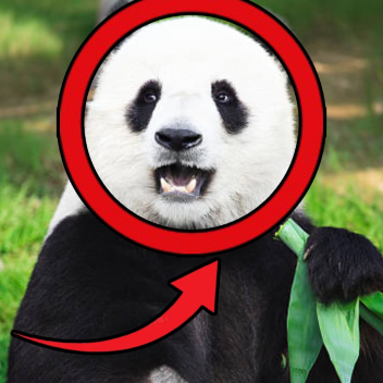 Obby but you're a panda