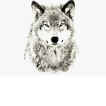 The PaidWolf Pack