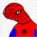 Özürlü spider—man