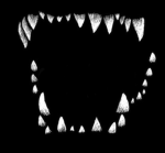 ₵A₦NIØ