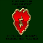 ESIII 25th Infantry Division of the 27th Regiment