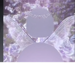 Mystical fairy group