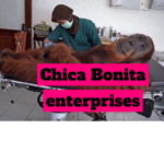 chica bonita enterprises ᅠ