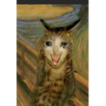 :0 is that a cat