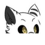 Tu que robux ai a mg ??