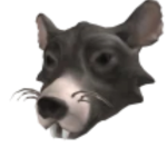 Harry the rat group_TM