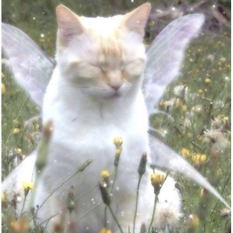 ♡