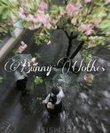 Bunny-Clothes Group Thumbnail