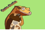 🦎Gecko Studios🦎 (G.S)