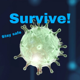 Survive the Coronavirus The Killer