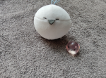 鳥好きグループ