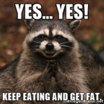 #FatRaccoon4Life