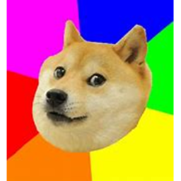 Doge Hangout