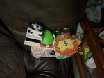 Pom Pom and dogs are cute/ Panda Minecraft….