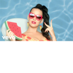 katy parry fans