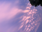 Cloudy star's