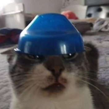 Click For A Free UGC