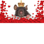 Royale Rat's Kingdom