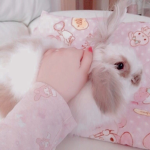 the bunny group :D
