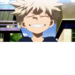 MHA: DD