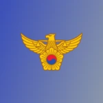 TPㅣTraffic Policeㅣ교통경찰