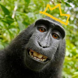 King Jeff [Story]