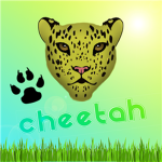★Cheetah®★