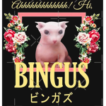 {Bingus Cult}