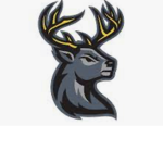 New York DEERS