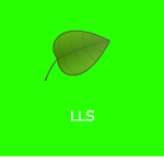 light leaf studios