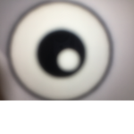 THE CYCLOPS CREW