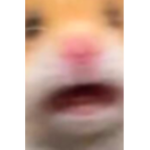 Hamster~Gang
