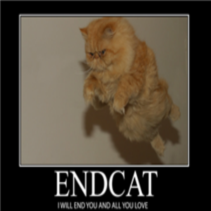 Funny cat Roblox decal