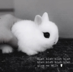 hhdskdjjskdkdkkck