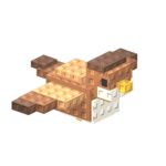 Brown Bird Studio