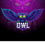 The Owl Organization