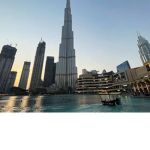 The Architect's Project