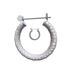 Trendy Hoop Earrings