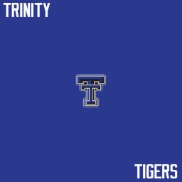  HSFBL | "Tiger" Stadium icon