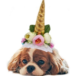 Unicorn puppy doggy club