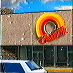 Northampton Caldor 1990