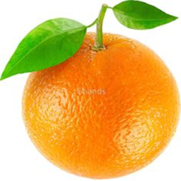 Orange Cult Hangout