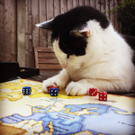 Cat GANG!!!!!